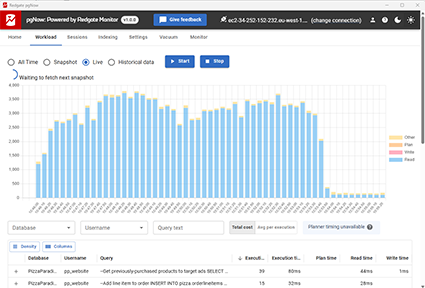 Viewing the server workload report in Redgate pgNow