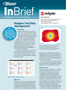 The Cover for the Bloor InBrief: Test Data Management 2021 report