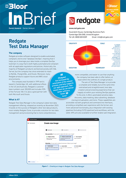 The Cover for the Bloor InBrief: Redgate Test Data Manager 2024 report