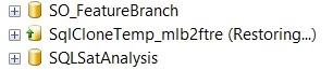 SQL Clone backup TDE 5