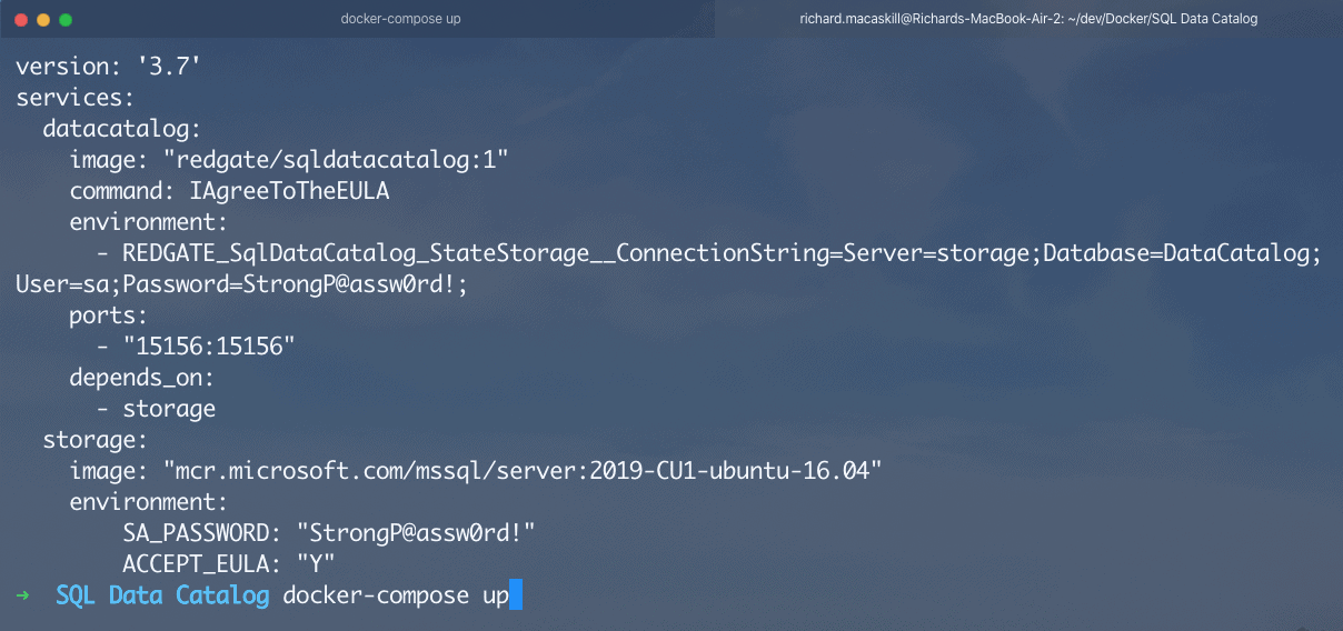 docker compose up
