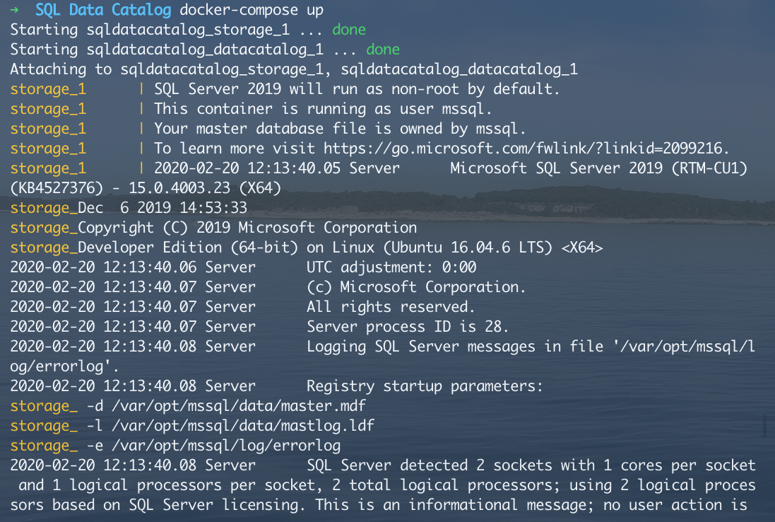 running docker compose up