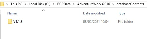 Maintaining datasets for each database version