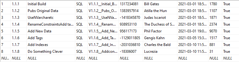 tracking database versions in schema history table