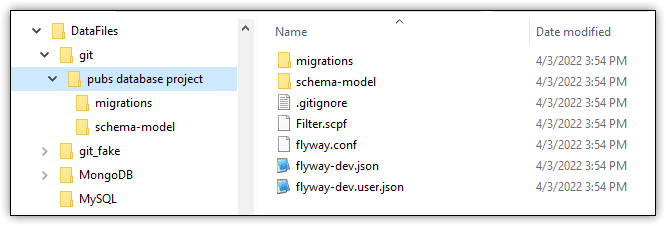 flyway desktop project folder