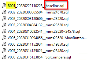 A flyway baseline migration file