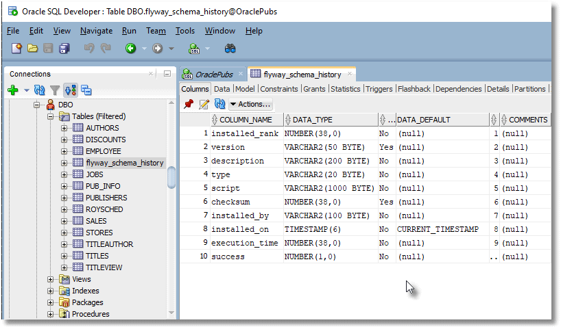 Checking the database in SQL Developer