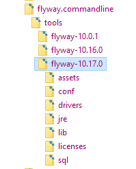 installing flyway 